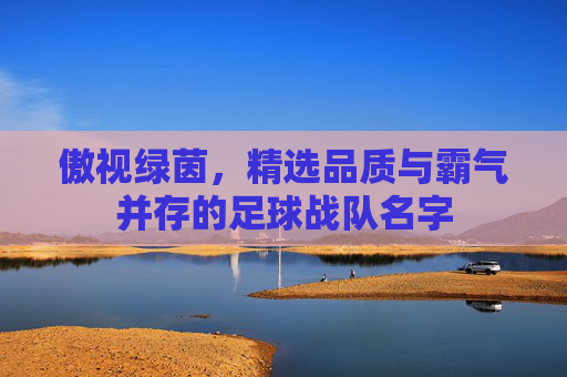 傲视绿茵,精选品质与霸气并存的足球战队名字
