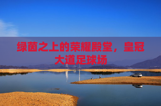 绿茵之上的荣耀殿堂,皇冠大道足球场
