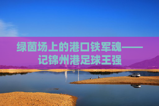 绿茵场上的港口铁军魂——记锦州港足球王强