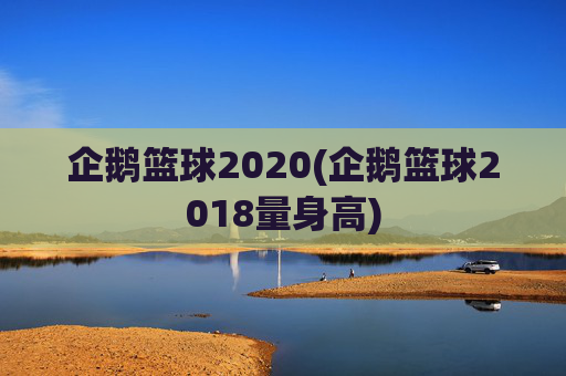 企鹅篮球2020(企鹅篮球2018量身高)