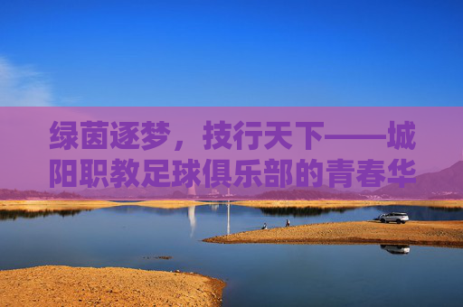 绿茵逐梦，技行天下——城阳职教足球俱乐部的青春华章