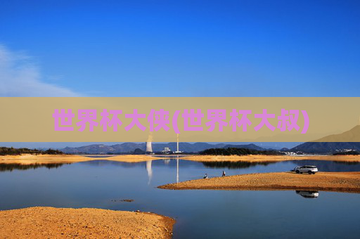 世界杯大侠(世界杯大叔)
