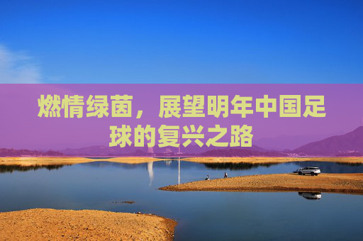 燃情绿茵,展望明年中国足球的复兴之路