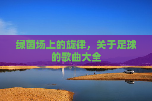 绿茵场上的旋律,关于足球的歌曲大全