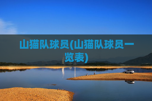 山猫队球员(山猫队球员一览表)