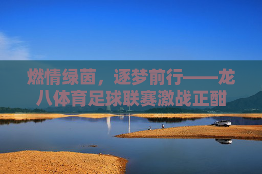 燃情绿茵，逐梦前行——龙八体育足球联赛激战正酣