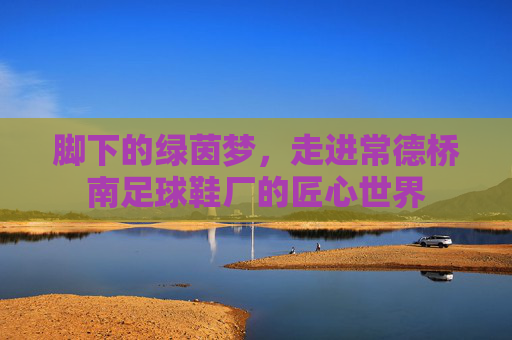 脚下的绿茵梦,走进常德桥南足球鞋厂的匠心世界