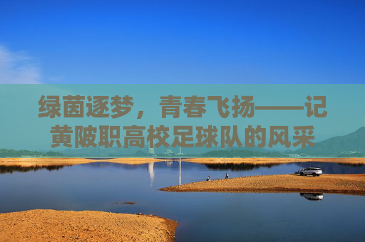 绿茵逐梦，青春飞扬——记黄陂职高校足球队的风采