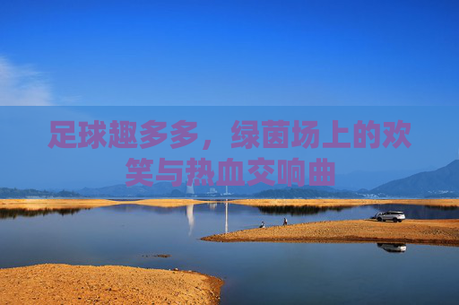 足球趣多多,绿茵场上的欢笑与热血交响曲