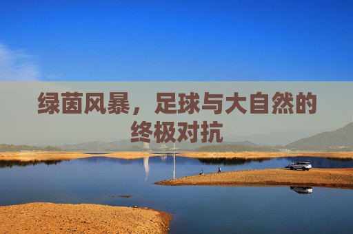 绿茵风暴,足球与大自然的终极对抗