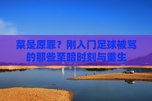 菜是原罪？刚入门足球被骂的那些至暗时刻与重生
