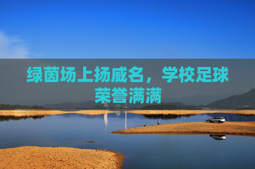 绿茵场上扬威名，学校足球荣誉满满