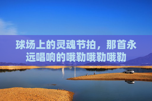 球场上的灵魂节拍,那首永远唱响的哦勒哦勒哦勒