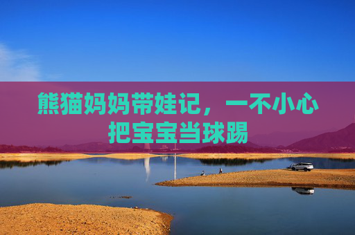 熊猫妈妈带娃记,一不小心把宝宝当球踢