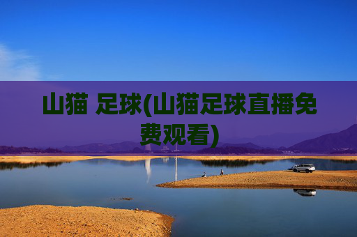 山猫 足球(山猫足球直播免费观看)