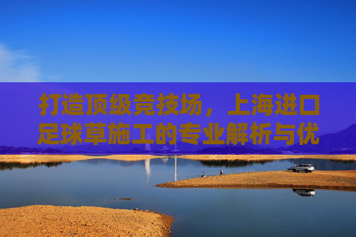 打造顶级竞技场，上海进口足球草施工的专业解析与优势