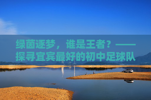 绿茵逐梦,谁是王者?——探寻宜宾最好的初中足球队