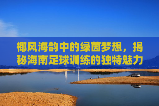 椰风海韵中的绿茵梦想，揭秘海南足球训练的独特魅力