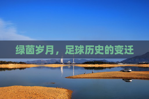 绿茵岁月，足球历史的变迁