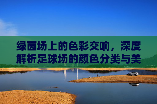 绿茵场上的色彩交响，深度解析足球场的颜色分类与美学