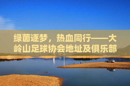 绿茵逐梦，热血同行——大岭山足球协会地址及俱乐部全攻略