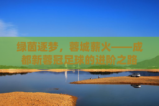 绿茵逐梦，蓉城薪火——成都新蓉冠足球的进阶之路