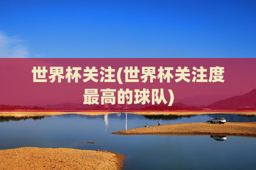 世界杯关注(世界杯关注度最高的球队)