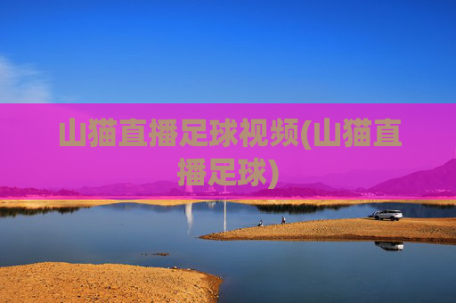 山猫直播足球视频(山猫直播足球)