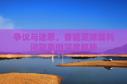 争议与迷思,鲁能足球裁判问题案例深度解析
