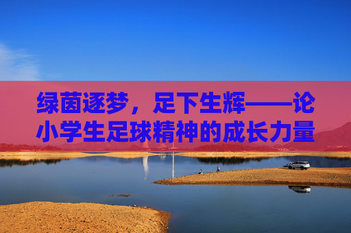 绿茵逐梦,足下生辉——论小学生足球精神的成长力量