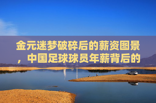 金元迷梦破碎后的薪资图景,中国足球球员年薪背后的冷思考