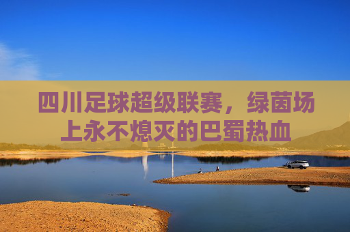 四川足球超级联赛,绿茵场上永不熄灭的巴蜀热血