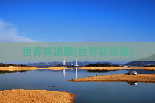 世界杯场面(世界杯场景)