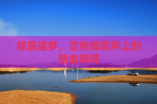 绿茵逐梦,定格绿草坪上的热血瞬间
