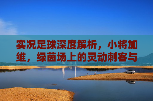 实况足球深度解析,小将加维,绿茵场上的灵动刺客与未来之星