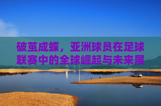 破茧成蝶,亚洲球员在足球联赛中的全球崛起与未来展望
