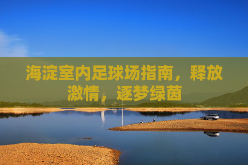 海淀室内足球场指南,释放激情,逐梦绿茵