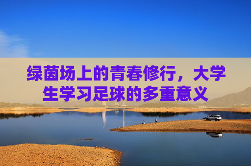 绿茵场上的青春修行,大学生学习足球的多重意义