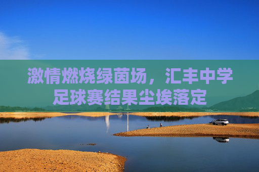 激情燃烧绿茵场,汇丰中学足球赛结果尘埃落定