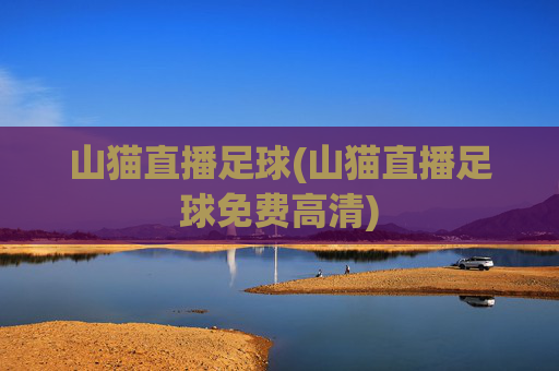 山猫直播足球(山猫直播足球免费高清)