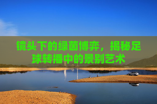 镜头下的绿茵博弈,揭秘足球转播中的景别艺术