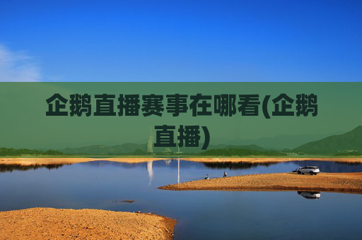 企鹅直播赛事在哪看(企鹅直播)