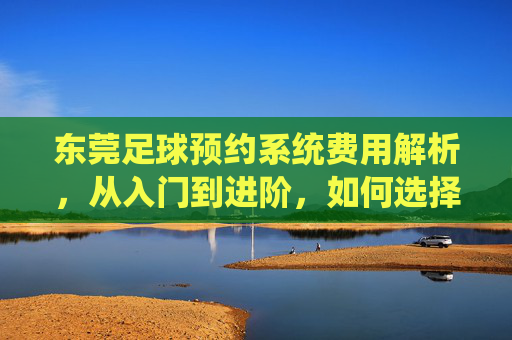 东莞足球预约系统费用解析，从入门到进阶，如何选择高性价比方案？