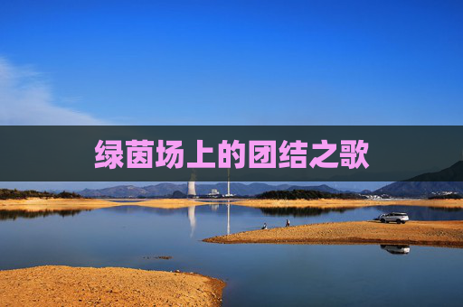 绿茵场上的团结之歌