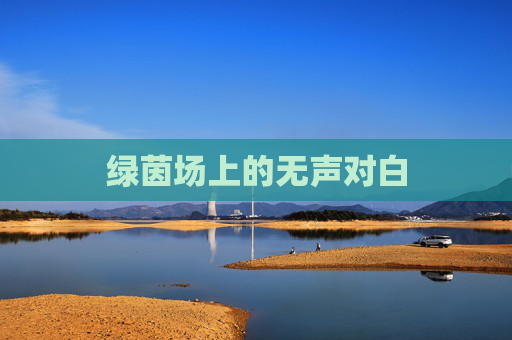绿茵场上的无声对白