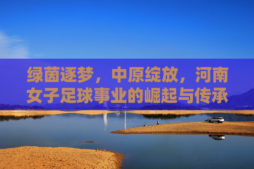 绿茵逐梦,中原绽放,河南女子足球事业的崛起与传承