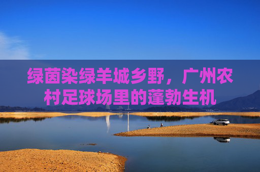 绿茵染绿羊城乡野,广州农村足球场里的蓬勃生机
