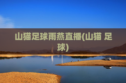 山猫足球雨燕直播(山猫 足球)