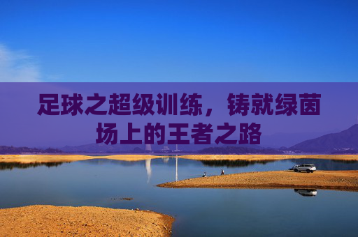 足球之超级训练，铸就绿茵场上的王者之路