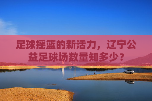 足球摇篮的新活力，辽宁公益足球场数量知多少？